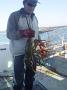 Tuncurry-PhilRoach 029